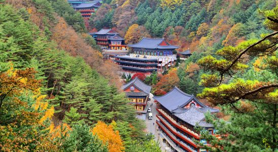 Kết quả hình ảnh cho Chungcheong