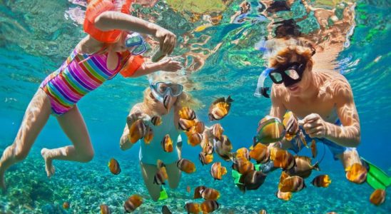 Káº¿t quáº£ hÃ¬nh áº£nh cho BÃI BIá»N PATONG