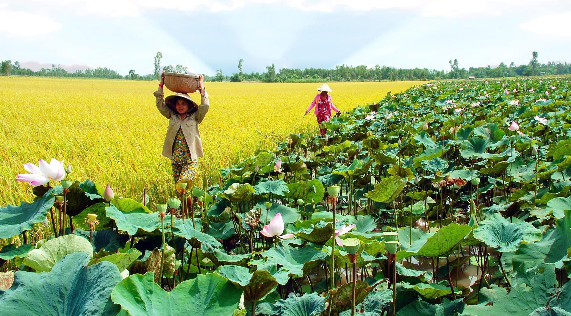 Check in miền Tây mùa nước nổi (phần 1) - ảnh 2