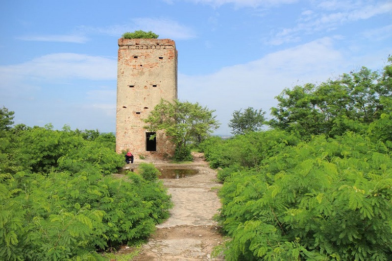 Tour du lịch Ninh Chữ - Vĩnh Hy, du lịch và trải nghiệm - ảnh 1