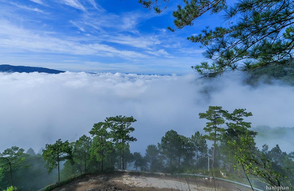 Đà Lạt xuất hiện địa điểm mới lạ hấp dẫn : “ghế săn mây” - ảnh 1