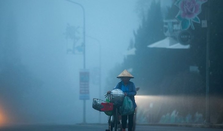 Đắm đuối vẻ đẹp huyền ảo ở Đà Lạt trong màn sương sớm - ảnh 2