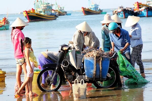 Khám phá vẻ đẹp yên bình nơi làng chài Mũi Né - ảnh 2