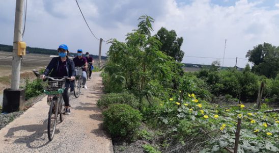 Du khách lướt tàu thủy, đạp xe khám phá Cần Giờ - Ảnh 1.