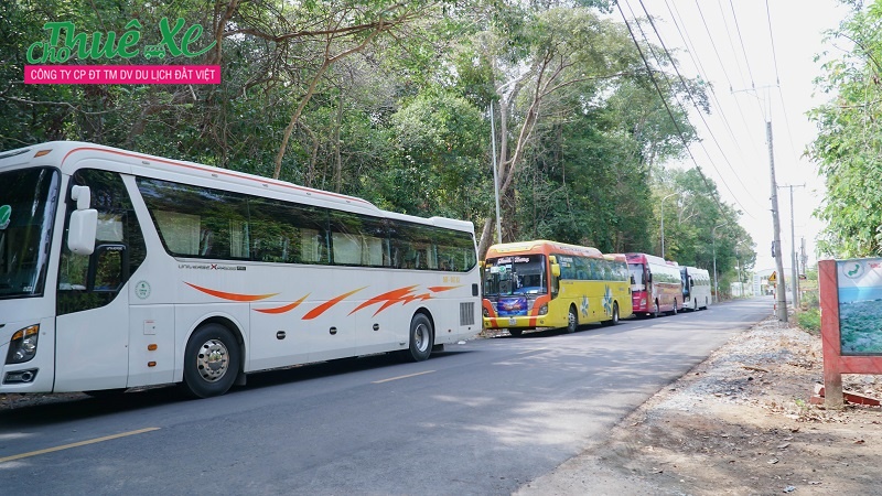 Tham khảo các lợi ích lúc dùng dịch vụ cho thuê xe uy tín - ảnh 2