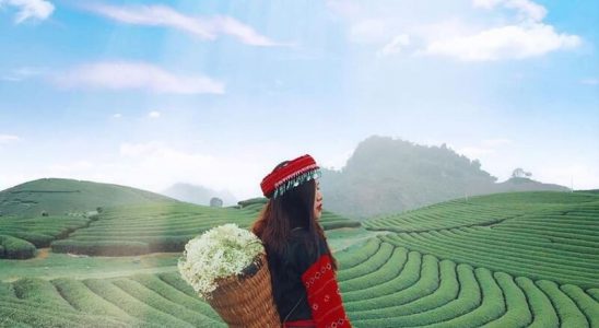 Du lịch Mộc Châu