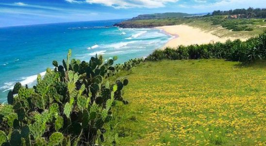 du-lich-he-phu-yen