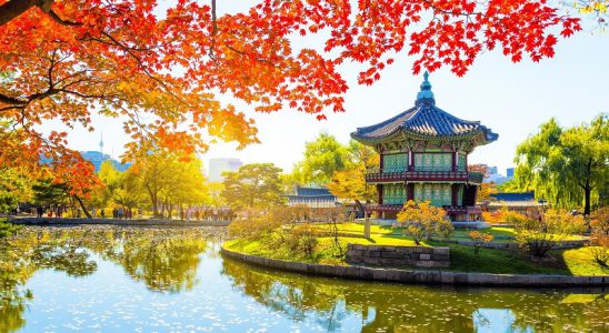 Du lịch mùa thu đừng bỏ qua cơ hội ghé thăm Seoul, Hàn Quốc.