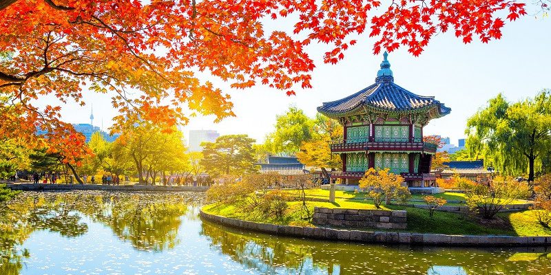 Du lịch mùa thu đừng bỏ qua cơ hội ghé thăm Seoul, Hàn Quốc.