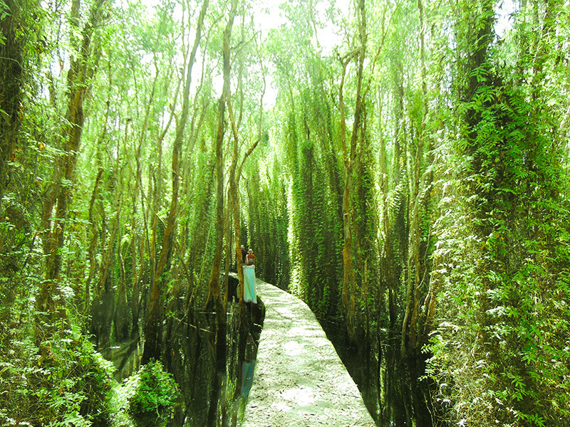 Khu du lịch làng nổi Tân Lập - Long An