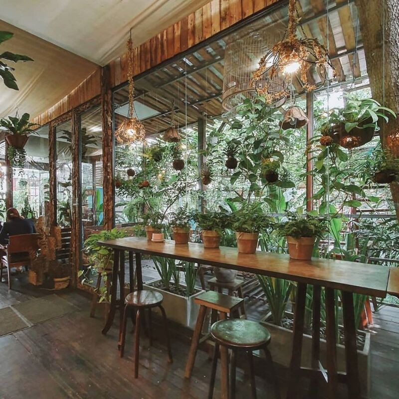 Không gian bên trong Cú Trên Cây Không gian bên trong Cú Trên Cây