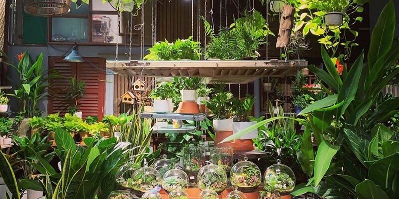 Khu vườn xanh mát tại Cú Trên Cây