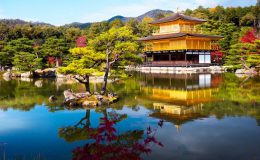 Độc đáo ngôi chùa vàng Kinkakuji qua bốn mùa ở Nhật Bản - ảnh 1