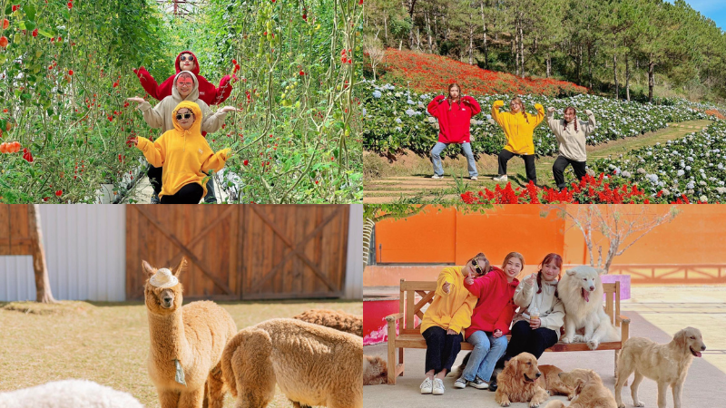 Nông trại cún Puppy Farm Đà Lạt Nông trại cún Puppy Farm Đà Lạt