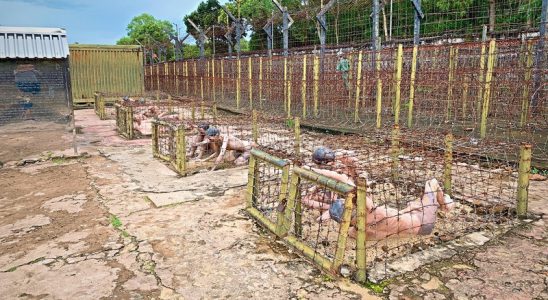 Nhà tù bao bọc bởi gần 10 lớp kẽm gai chằng chịt
