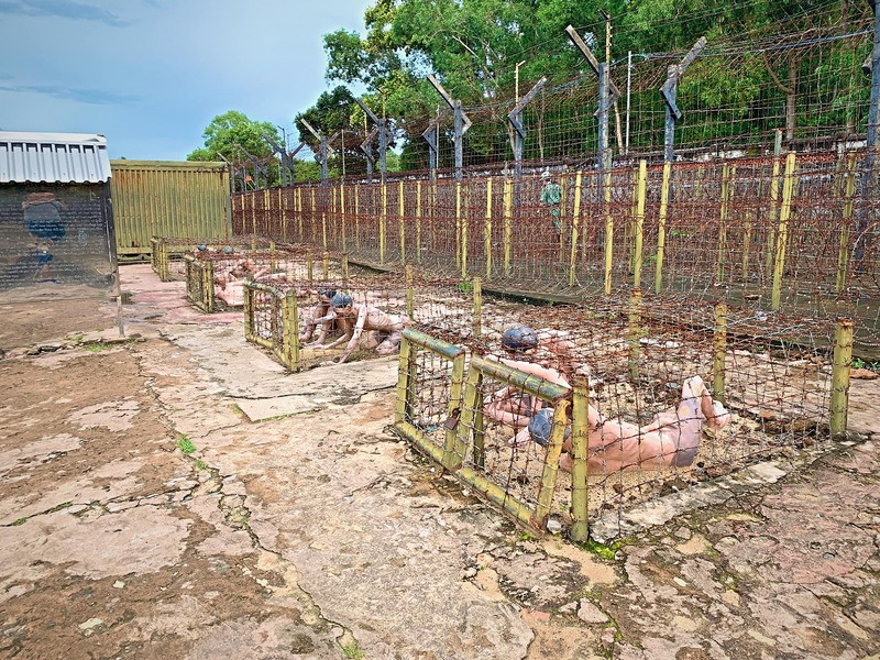 Nhà tù bao bọc bởi gần 10 lớp kẽm gai chằng chịt Nhà tù bao bọc bởi gần 10 lớp kẽm gai chằng chịt