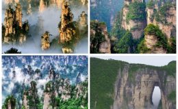 Trương Gia Giới -