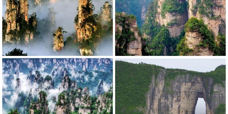 Trương Gia Giới -