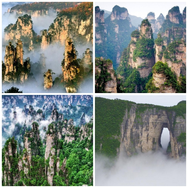 Trương Gia Giới - 