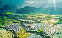 Bức tranh tuyệt vời của mùa nước đổ Tây Bắc