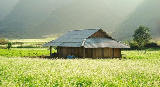 Du lịch Mộc Châu mùa thu