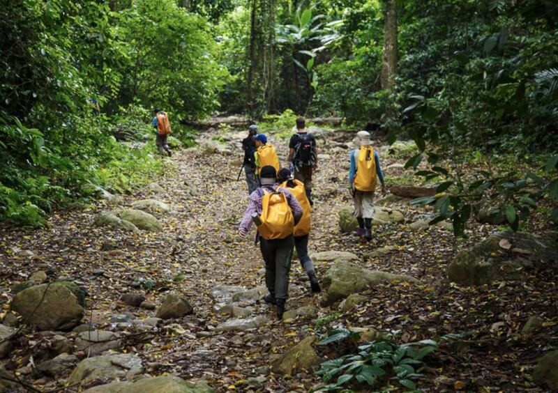 Trekking tại vườn quốc gia 